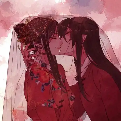 天官赐福动画版大结局谢怜花城大婚夜一袭红妆的谢怜简直看呆花城