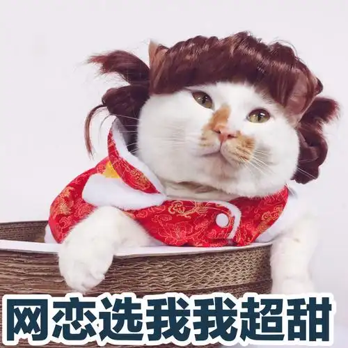 一组可爱猫咪表情包
