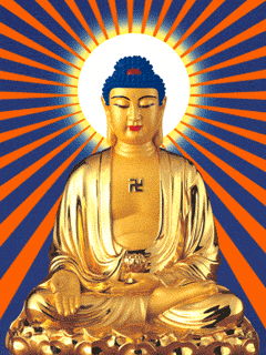 240_320竖版 竖屏gif 动态图 动图