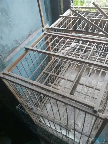 出售闲置的鸟笼子