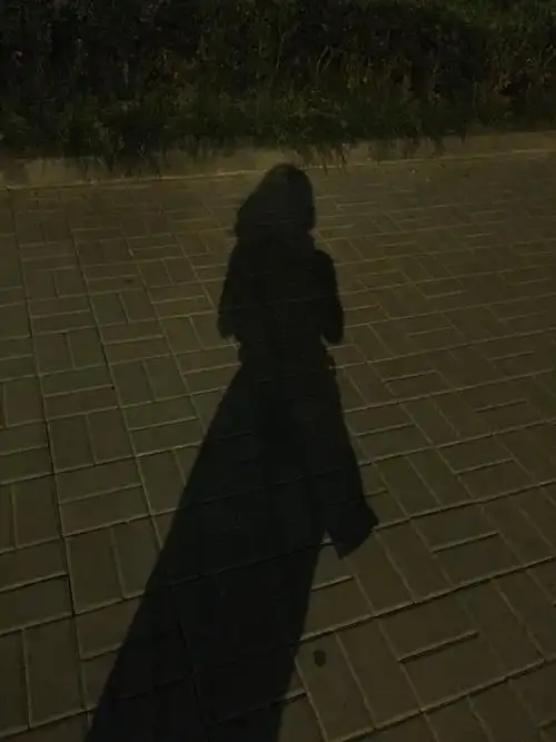 1:越来越喜欢拍影子2:情绪是长期线性稳定的,偶尔会有抛物线式起落.