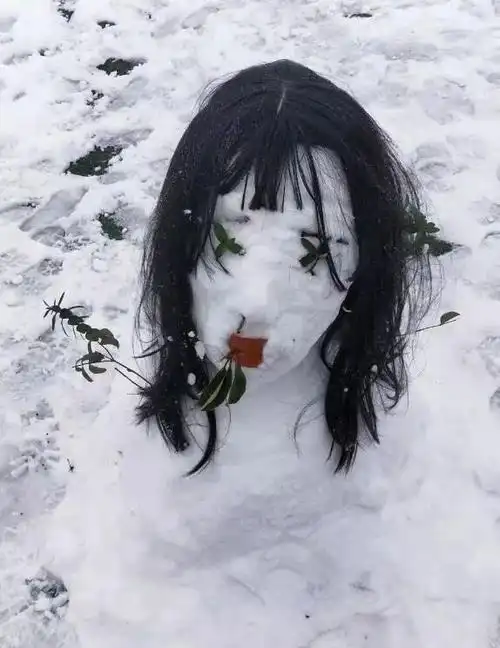 朋友圈里的雪人很硬核