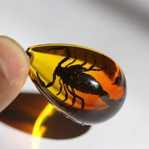 鲤梨 天然蝎子人工琥珀项链 真昆虫标本吊坠创意装饰品生日节日礼物