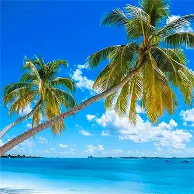 男人专用头像图片