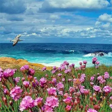 适合做头像的风景图片优美 超唯美治愈的最新风景高清头像大全_风景头