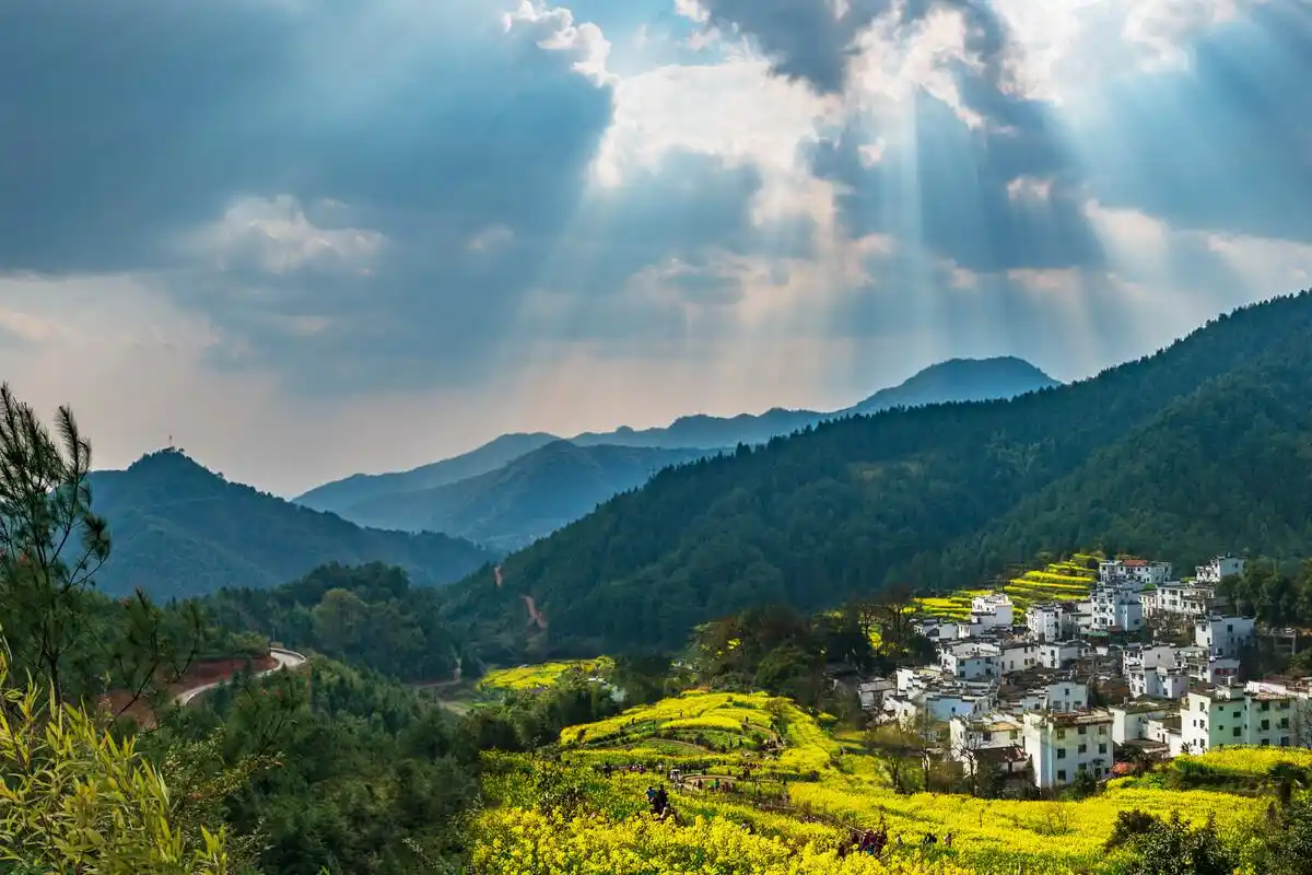 早春二月婺源行