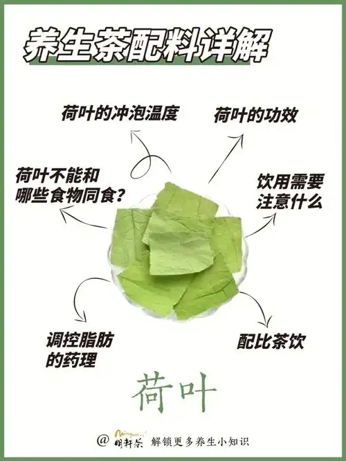 荷叶本性寒,不宜再食用其他寒凉性食物97荷叶的功效荷叶系睡莲科