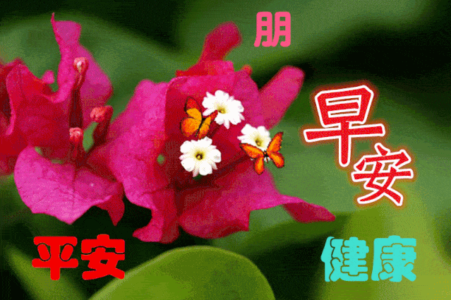 9月11日最漂亮早上好动态表情图片大全,早晨好动图美图大全_问候