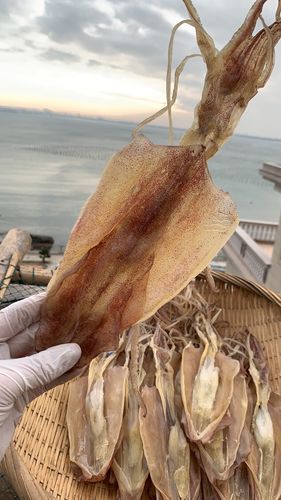 鱿鱼海岛大叔母干带卵干籽生晒母孕产妇海鲜干货其它