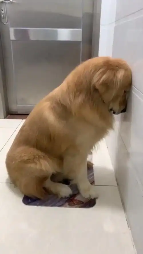 就是这小子,把写一年的笔记给撕了,面壁思过都是轻的!