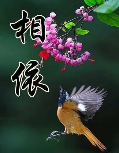 相遇,相知,相契,相依,相助,相思,相辉,相惜!