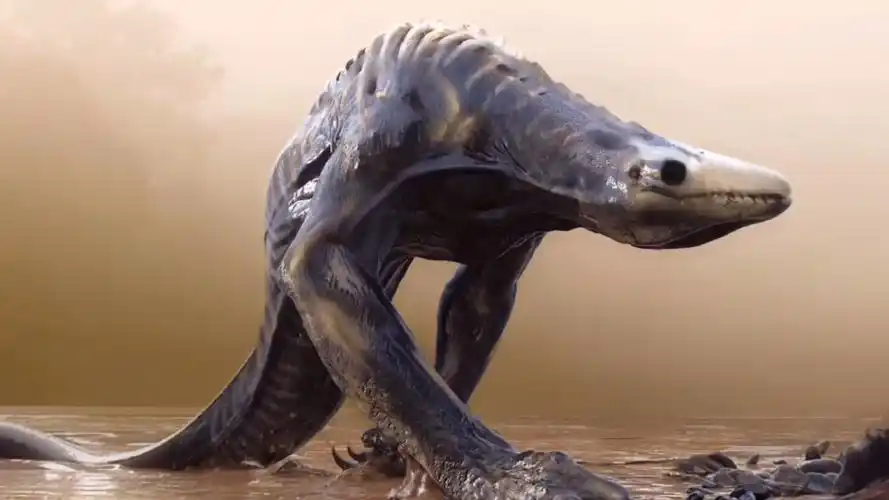 让金刚棘手的怪兽boss长度与哥斯拉一样骷髅岛蜥蜴实力分析