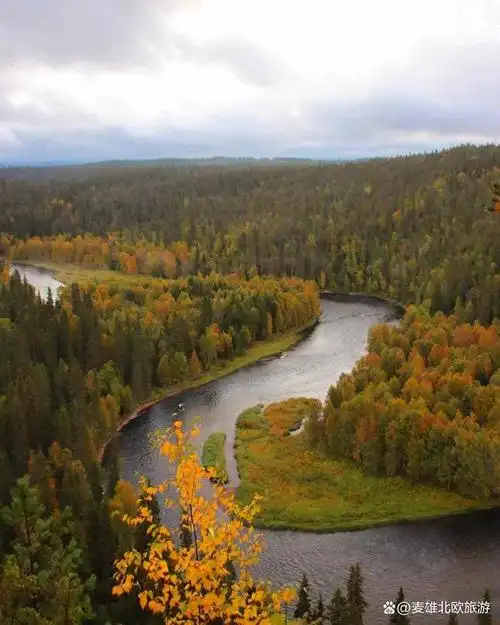 北欧旅游|原始森林徒步安全吗?芬兰警方告诉你