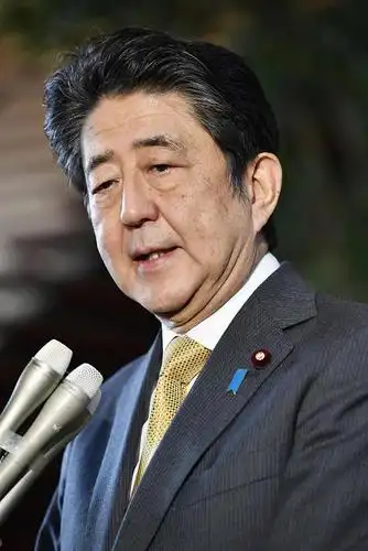 当地时间10月31日,日本首相安倍晋三向媒体讲话.图/视觉中国