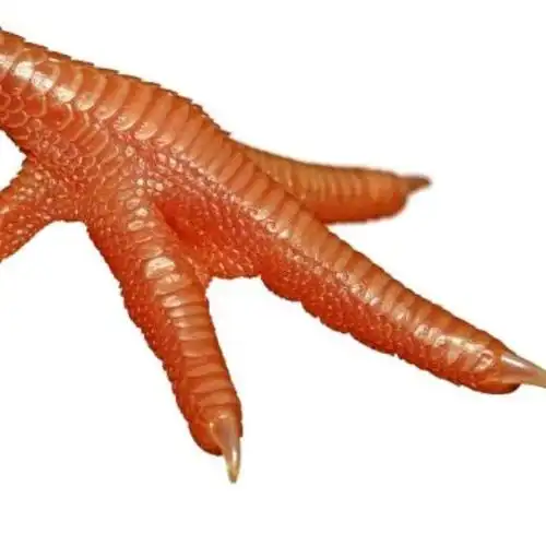 老板多给了一个鸡爪