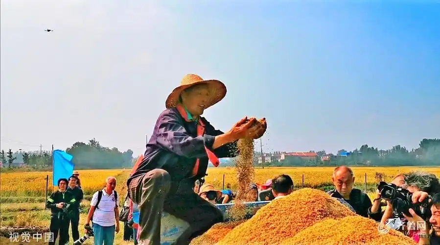 金秋丰收忙实拍山东各地农民秋收图
