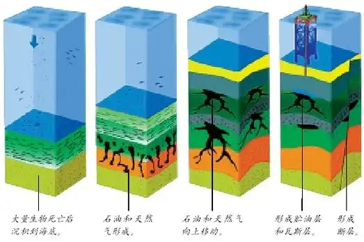 生物成油论,石油形成过程示意图