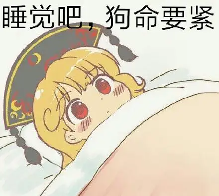 睡觉吧,狗命要紧_狗命_要紧_睡觉表情
