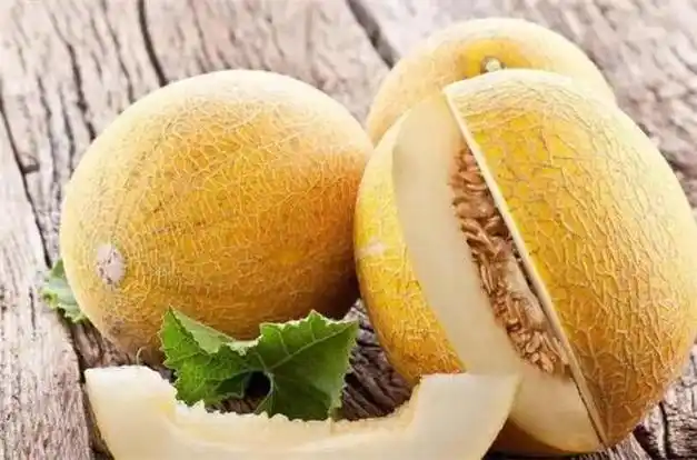 哈密瓜怎么挑?黄皮和绿皮哈密瓜哪个更好吃?|水果|甜度_网易订阅