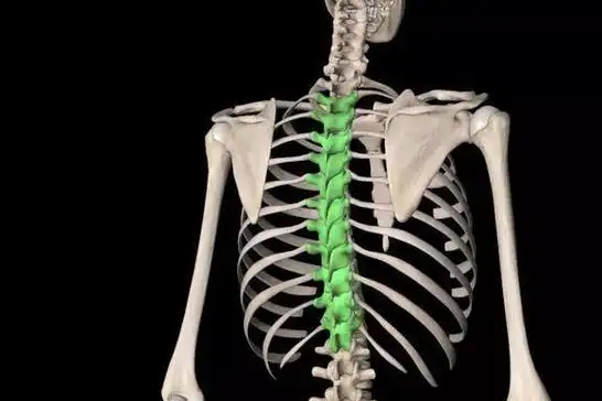 一套全方位灵活胸椎的练习效果杠杠滴