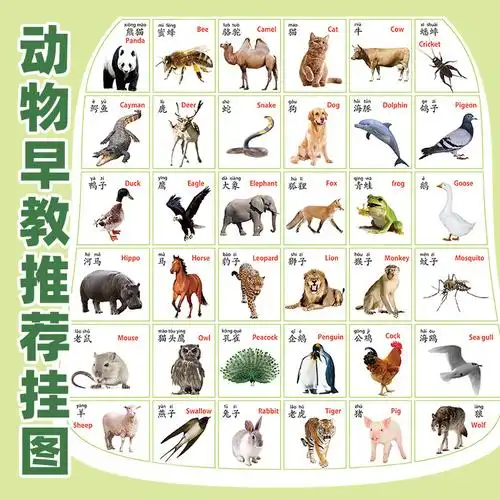 乐乐鱼有声挂图宝宝幼儿童早教发声启蒙认知动物拼音看图识字神器