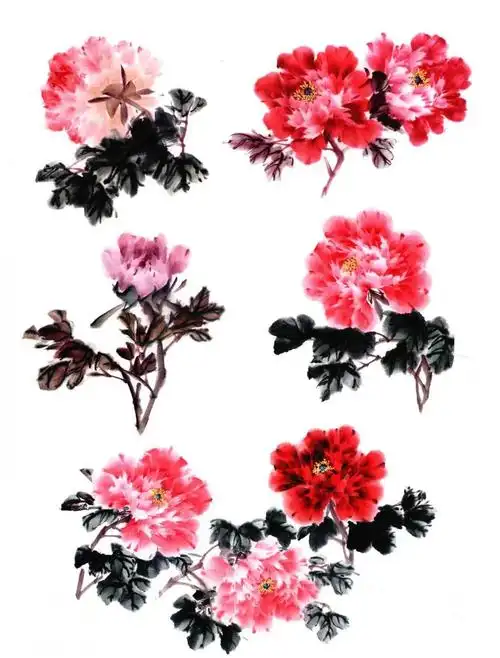 手把手教你画写意牡丹千层瓣