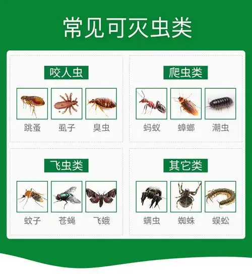绿百灵虫剂灭跳蚤药粉家用驱除下水道虫臭虫药螨虫药虱子蜱虫药