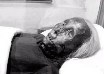 猫脸老太太事件真相