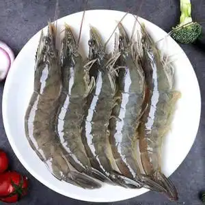 【海捕对虾图片】海捕对虾图片大全_q友网