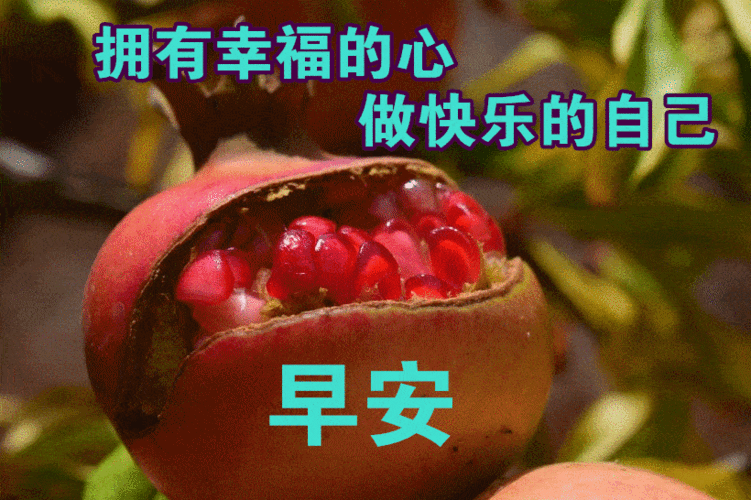 哈哈,早安哦!4. 伴随着晨曦的第一缕曙光,让我的祝福停靠在你的