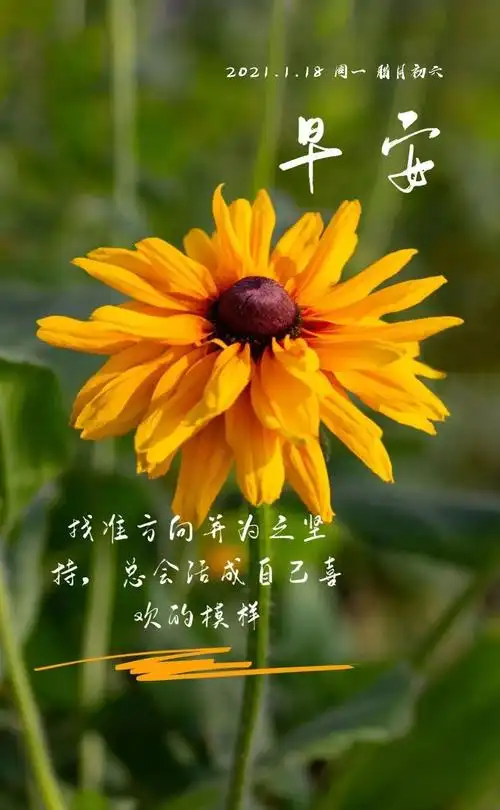 周一发朋友圈的早安正能量图片语录阳光暖心问候渴望进步