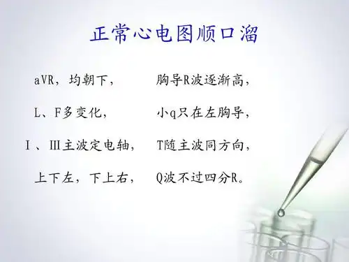 资格考试/认证 ppt模板 西医诊断学(终)ppt 临床常用诊断ppt 正常心电