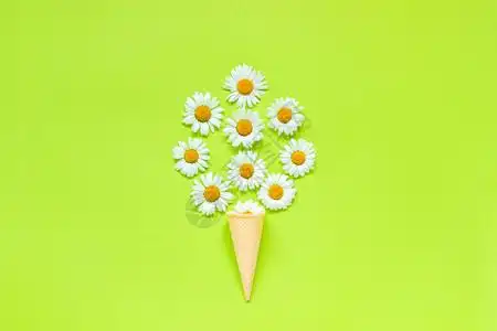 并欺凌蛋筒花朵卡片白色的束洋甘菊雏在淡绿色纸背景上的华夫饼冰淇淋