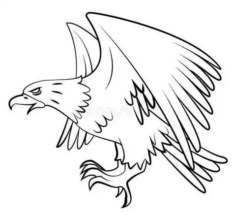 简笔画老鹰怎么