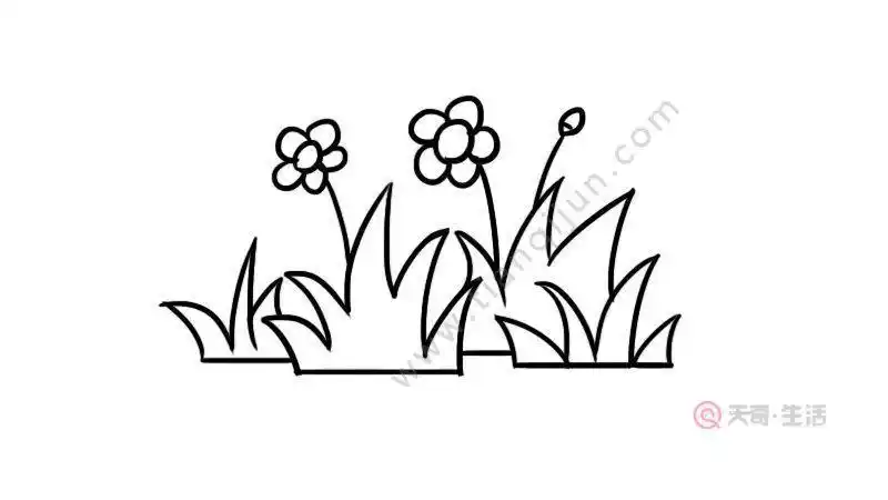 草花丛简笔画