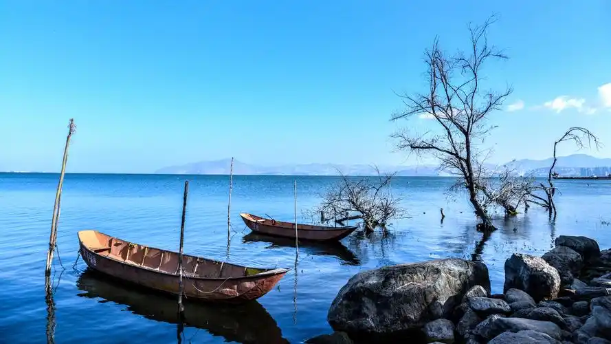 安装元气桌面,海量壁纸一键设置尺寸:3840x2160体积:7.