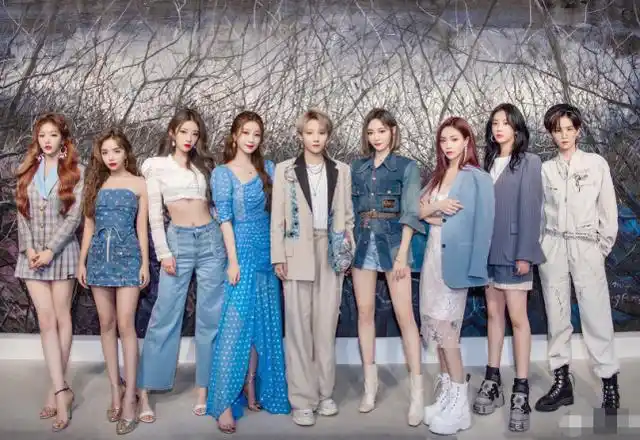 the9是从2020年《青春有你第二季》舞台上走出来的偶像女团,共有九名