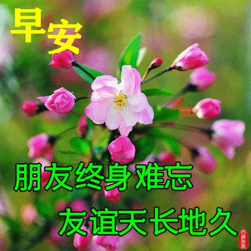 早安图片早上好问候动态图文大全保重身体快乐吉祥