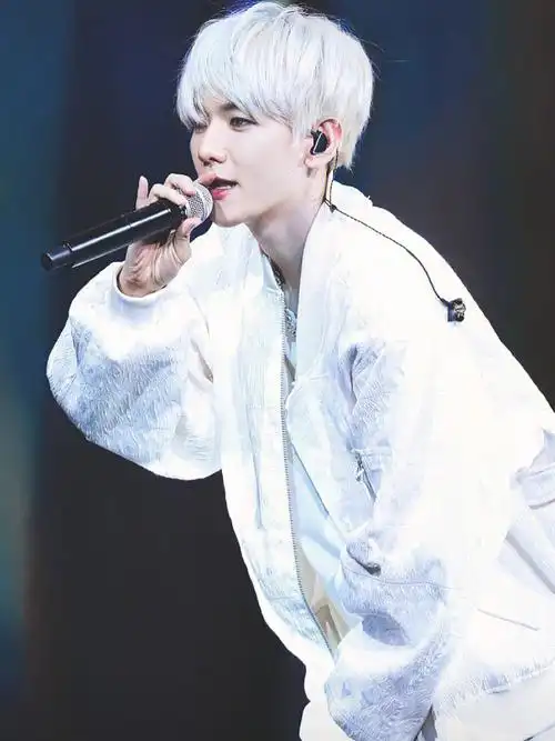 边伯贤之银发小王子