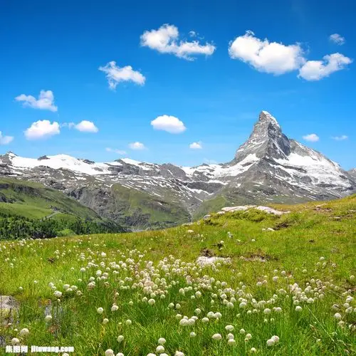 雪山草地风景图片