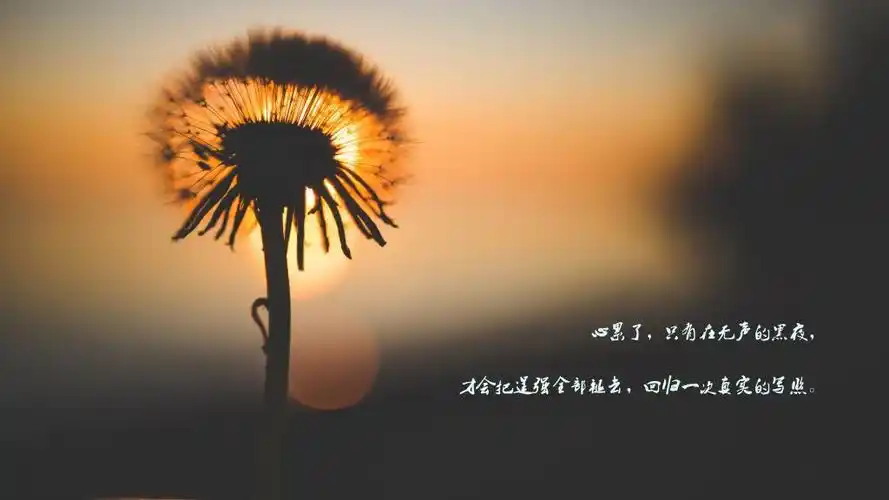 一个人心累了伤感带字图片,高清壁纸图片,非主流-回车桌面