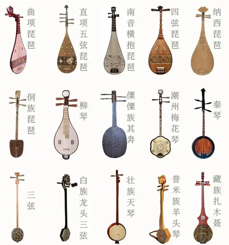 你认识几个民族乐器?#音乐生 #音乐培训 #乐理 #乐器分享 - 抖音