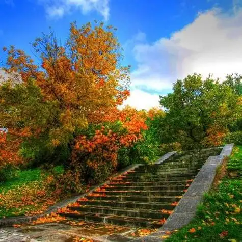 风景头像_唯美风景头像图片_qq头像_扣扣居 第9页