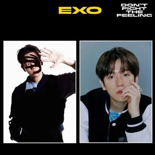 戈思迪exo专辑dontfightthefeeling周边海报挂画边伯贤贴纸画报xiumin