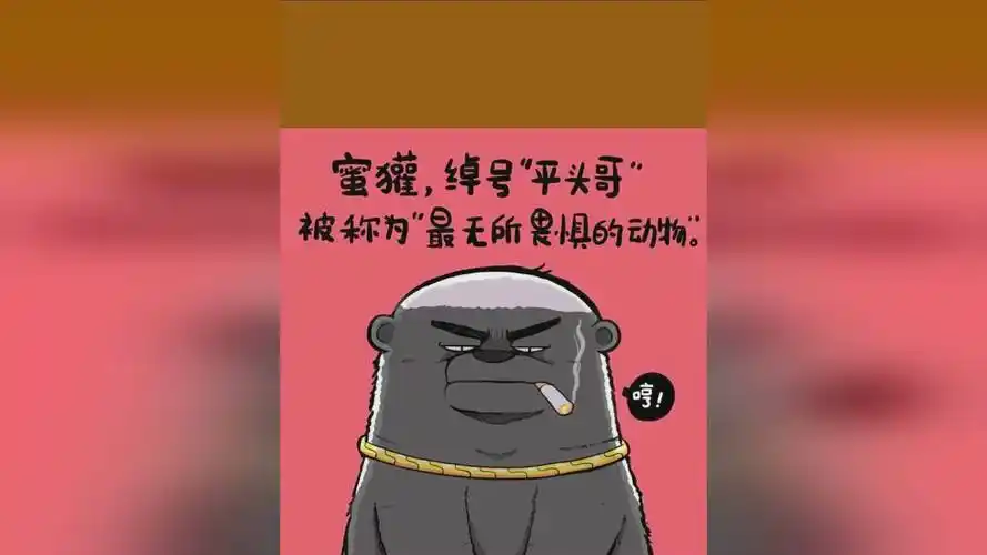 最霸气的动物平头哥
