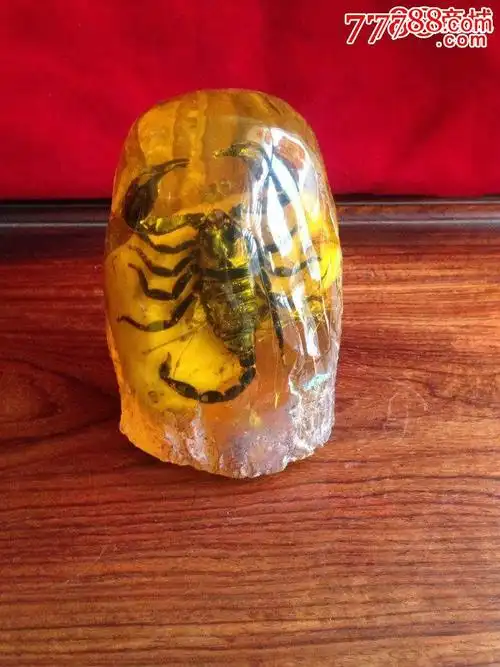 晶透————蝎子琥珀,原石标本