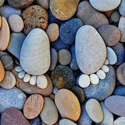 梓烨鹅卵石树坑鹅卵石装饰鹅卵石