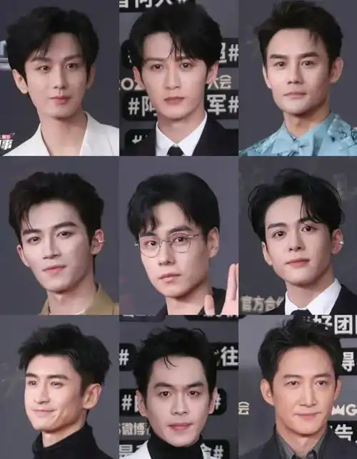 成毅,张云龙,韩东君,王安宇,刘宇宁,王星越,王凯,曾舜晞,胡一天,王阳