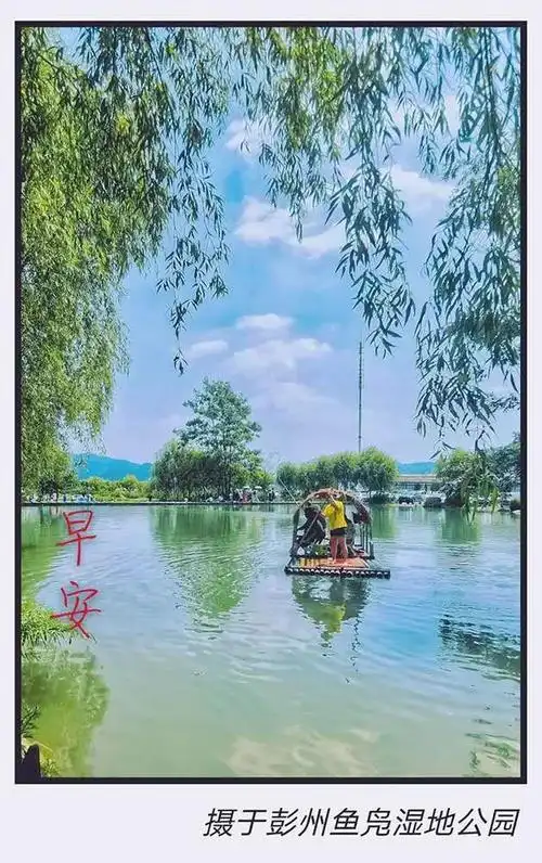 我的八月份"早安"问候图片汇集