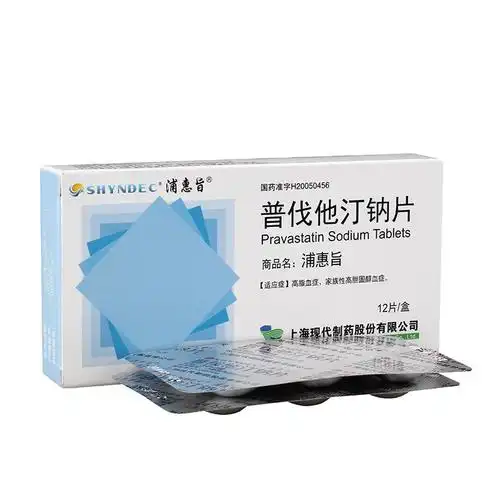 浦惠旨  普伐他汀钠片